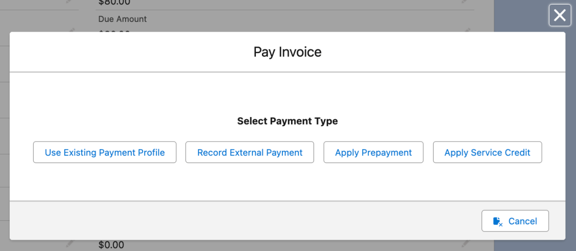 the Pay Invoice dialog, offering an existing payment profile, an external payment, a prepayment or a service credit
